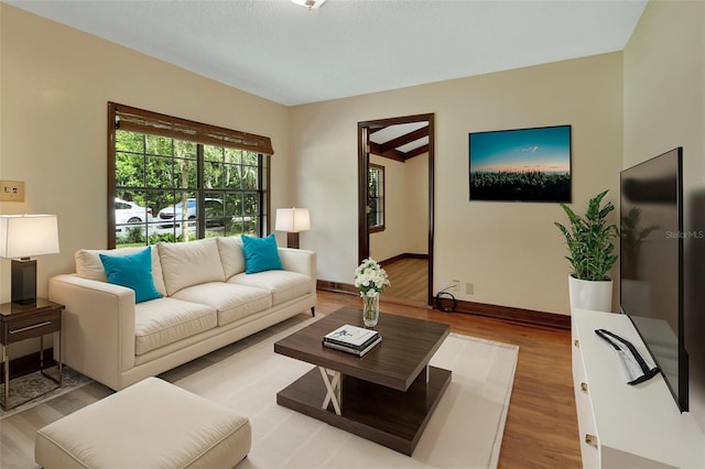 living room with light hardwood / wood-style flooring