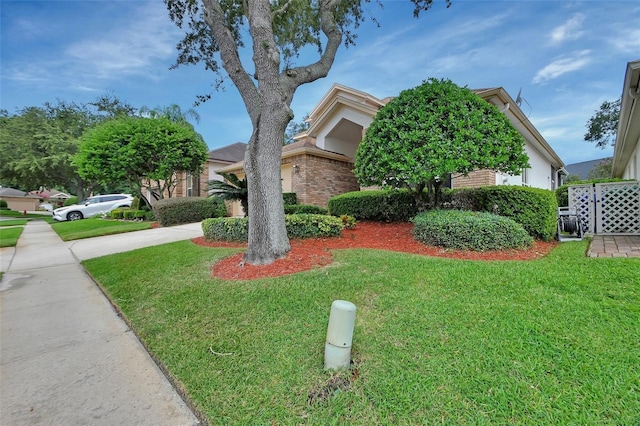 obstructed view of property with a front yard