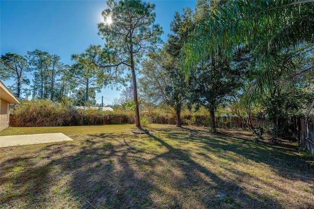 view of yard featuring a patio area