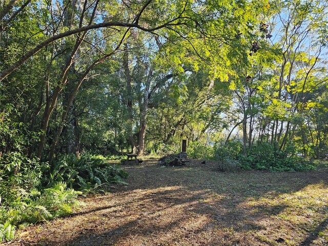 view of local wilderness