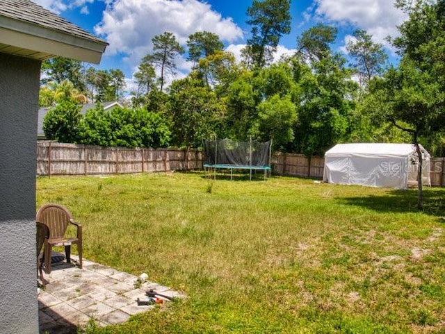 view of yard with a patio area and a trampoline