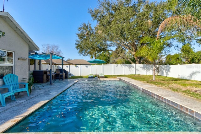 view of pool featuring a patio area