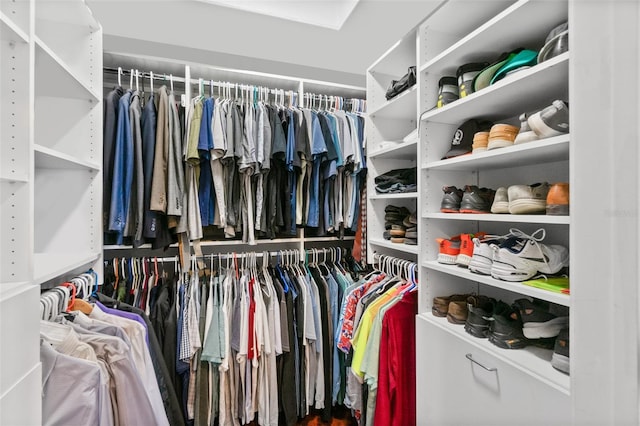 view of walk in closet