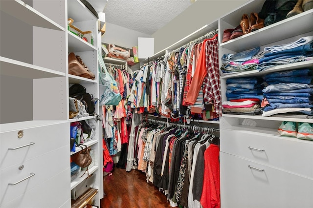 spacious closet with dark hardwood / wood-style flooring