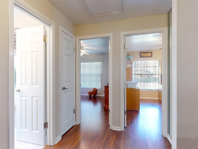 hallway featuring dark hardwood / wood-style floors