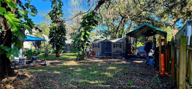 view of yard with a storage shed