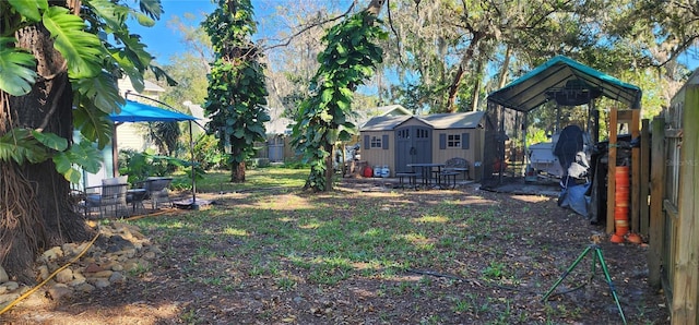 view of yard with a storage unit