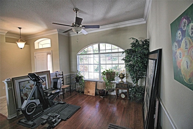 exercise area featuring ceiling fan, crown molding, dark wood-type flooring, and a textured ceiling