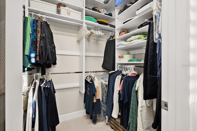 walk in closet with light carpet