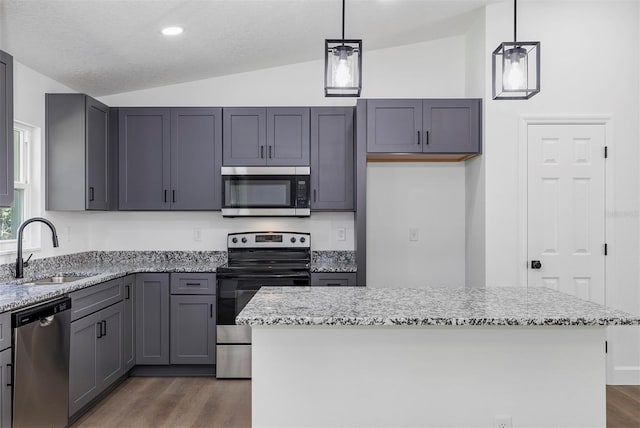 kitchen featuring lofted ceiling, appliances with stainless steel finishes, dark wood-style flooring, and a sink