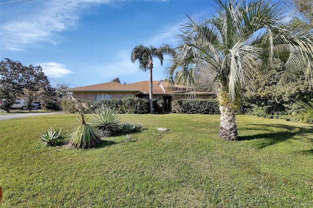 view of front of home featuring a front yard