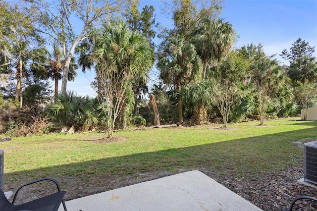 view of yard with a patio