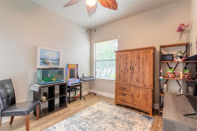 office featuring light hardwood / wood-style floors and ceiling fan