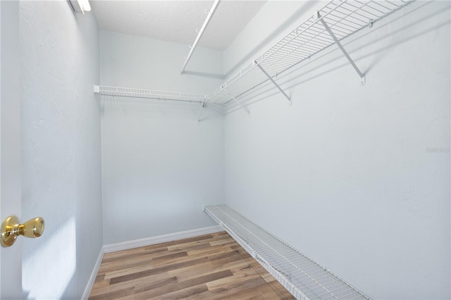 walk in closet with wood-type flooring