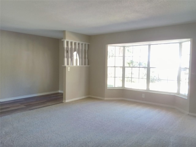 empty room featuring carpet floors and a wealth of natural light