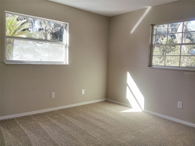 unfurnished room featuring carpet floors