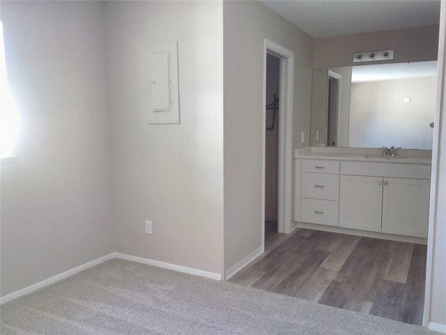 bathroom featuring vanity and electric panel