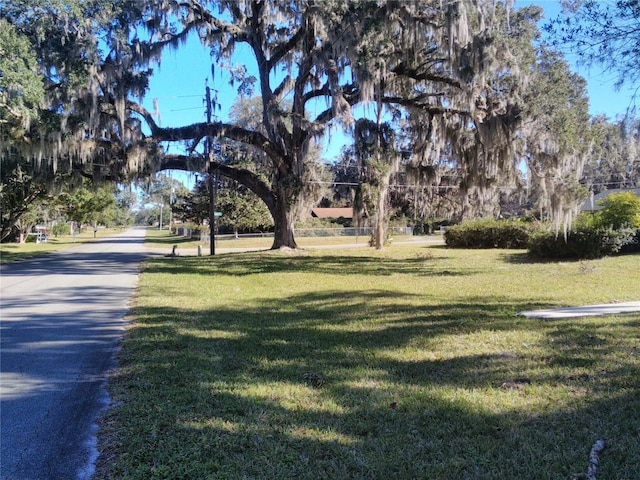 view of home's community with a yard