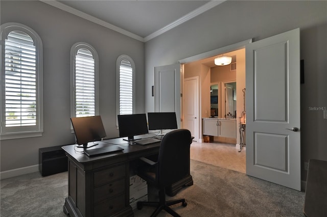 office area with carpet flooring and crown molding