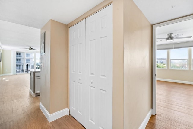 corridor featuring light hardwood / wood-style floors