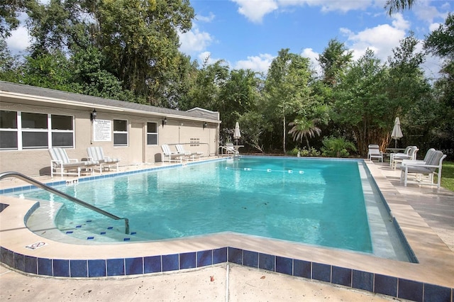 view of pool featuring a patio area