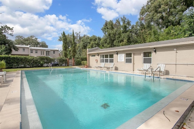 view of pool featuring a patio