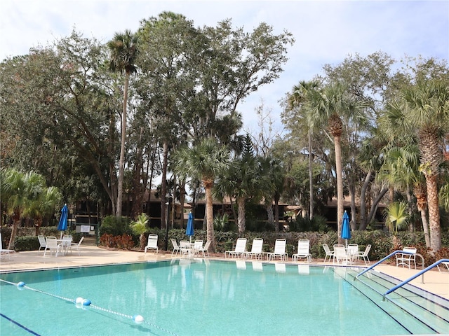 view of swimming pool