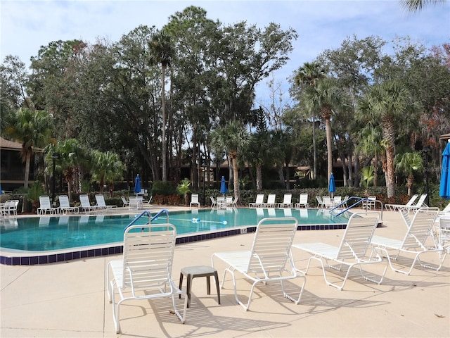 view of pool with a patio