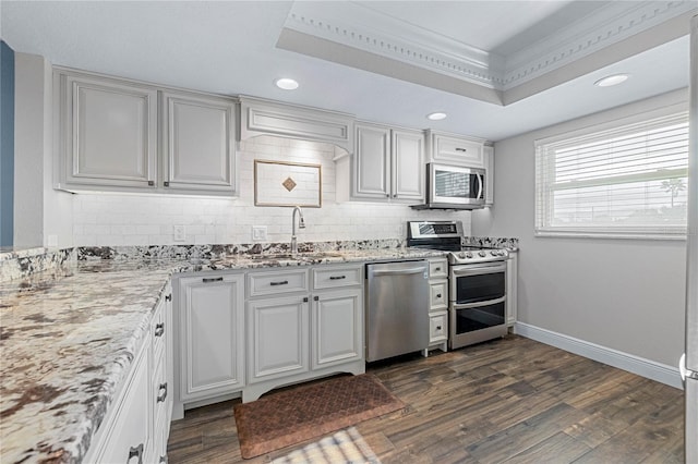 kitchen featuring crown molding, appliances with stainless steel finishes, sink, and a tray ceiling