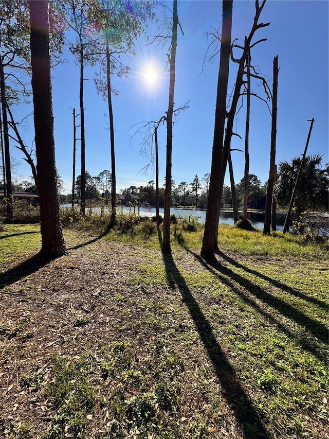 view of yard with a water view