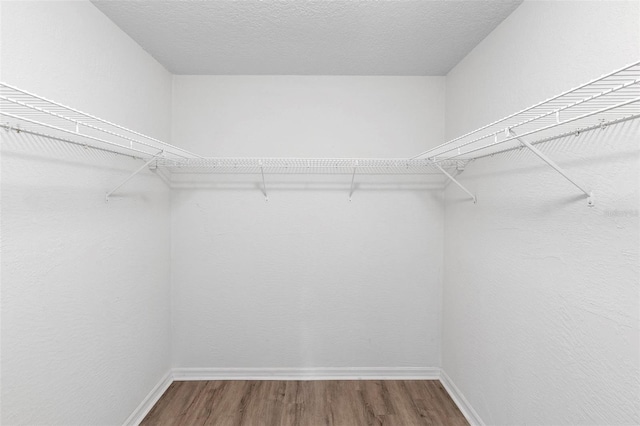 spacious closet featuring hardwood / wood-style flooring