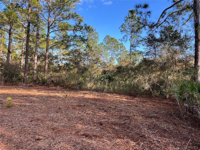 TBD Chinaberry Way, Eustis FL, 32736 land for sale