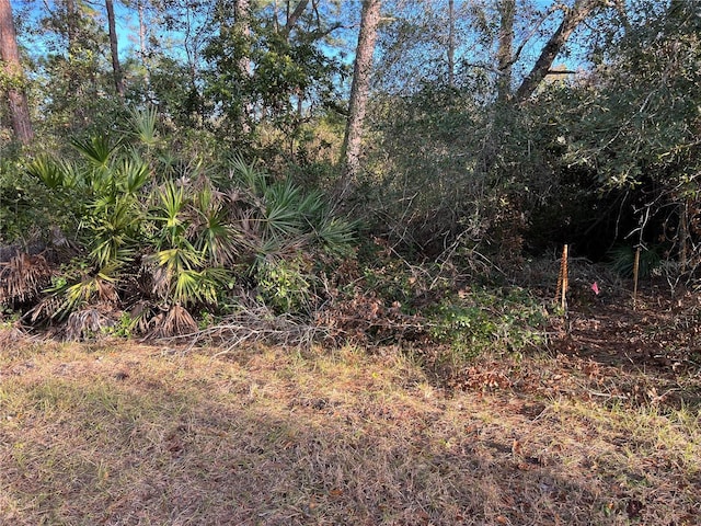 Listing photo 2 for TBD Chinaberry Way, Eustis FL 32736