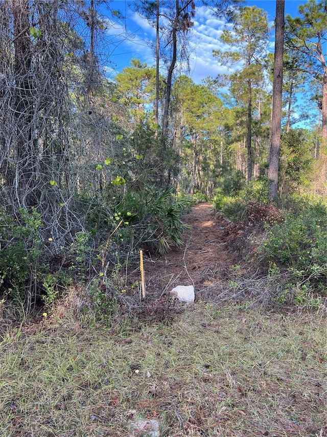 Listing photo 3 for TBD Chinaberry Way, Eustis FL 32736