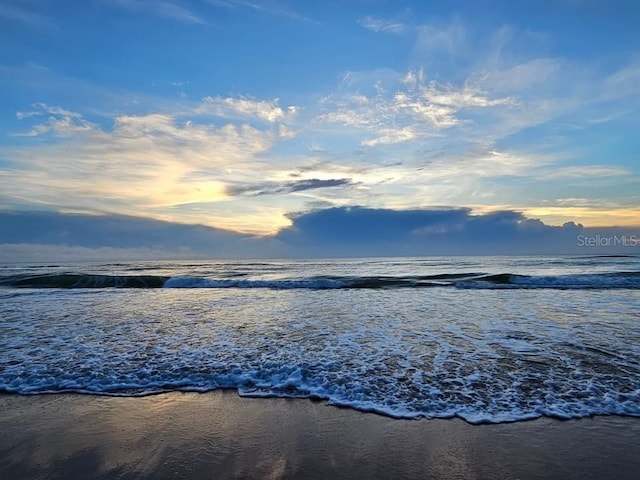 water view featuring a beach view