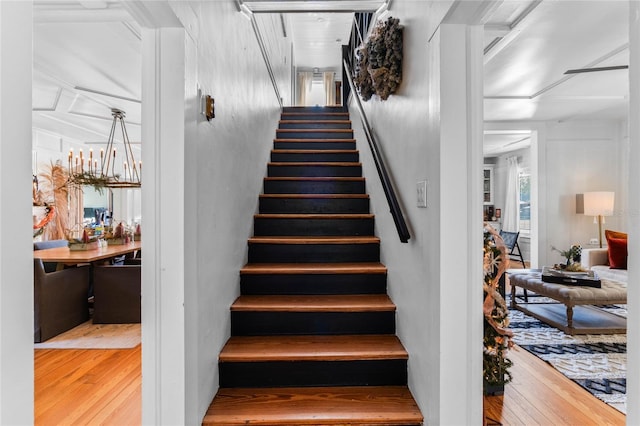 stairway with hardwood / wood-style floors