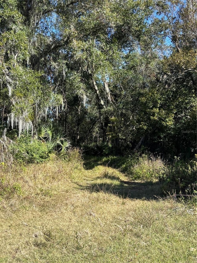 Newport Ave, Deland, FL 32724 - photo 5