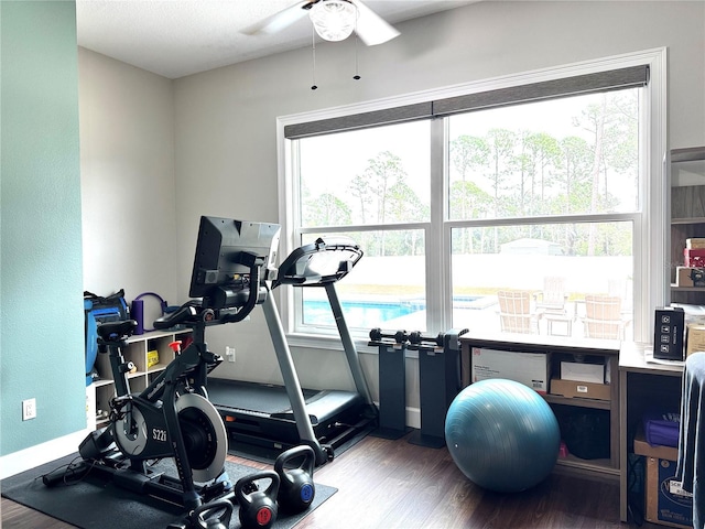 workout room featuring hardwood / wood-style floors and ceiling fan