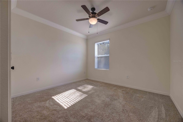 carpeted spare room with ceiling fan and crown molding