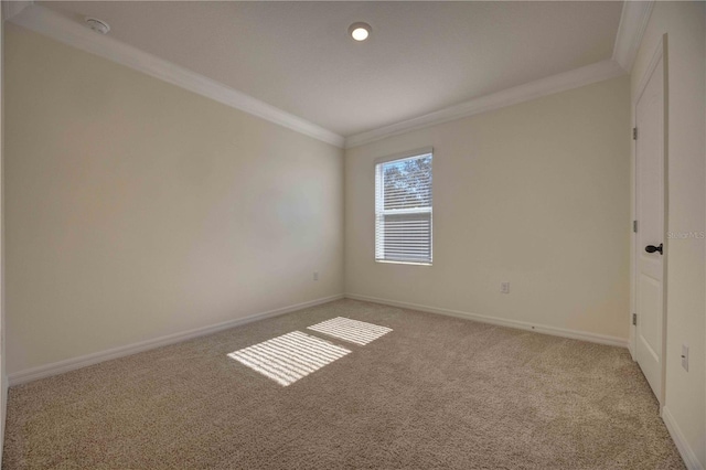 carpeted empty room featuring crown molding