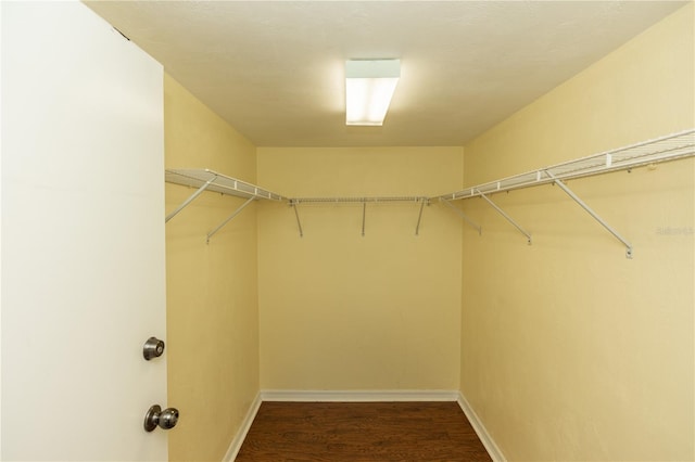 walk in closet featuring dark wood-type flooring