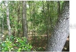 Mercers Fernery Rd, Deland FL, 32720 land for sale