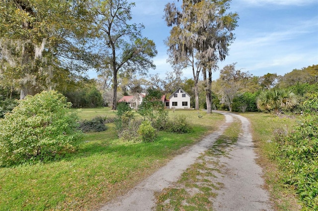 view of road with dirt driveway