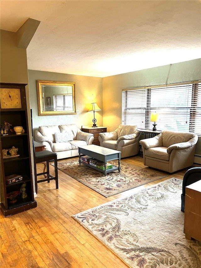 living room featuring baseboard heating and wood-type flooring