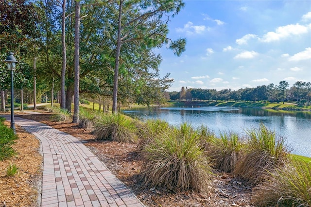 view of water feature