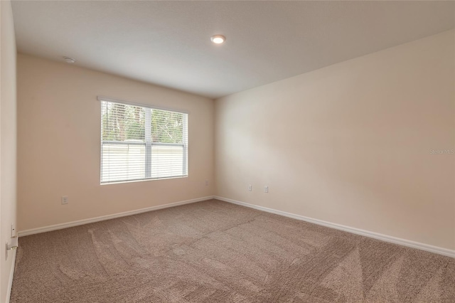 spare room with carpet floors