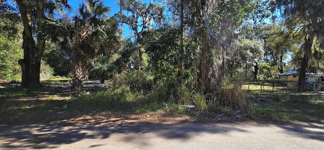 Center St, Crescent City, FL 32112 - photo 1