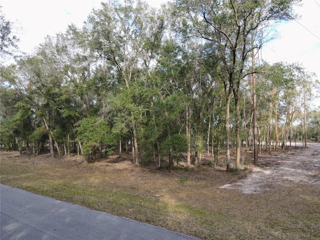 Rachel Ln, Eustis FL, 32736 land for sale