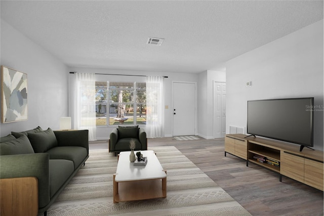 living room featuring a textured ceiling and wood-type flooring