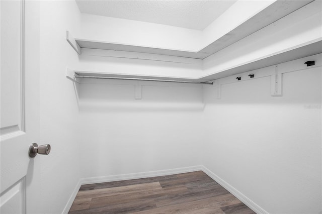 walk in closet with dark hardwood / wood-style floors